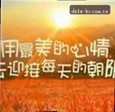 刘洋